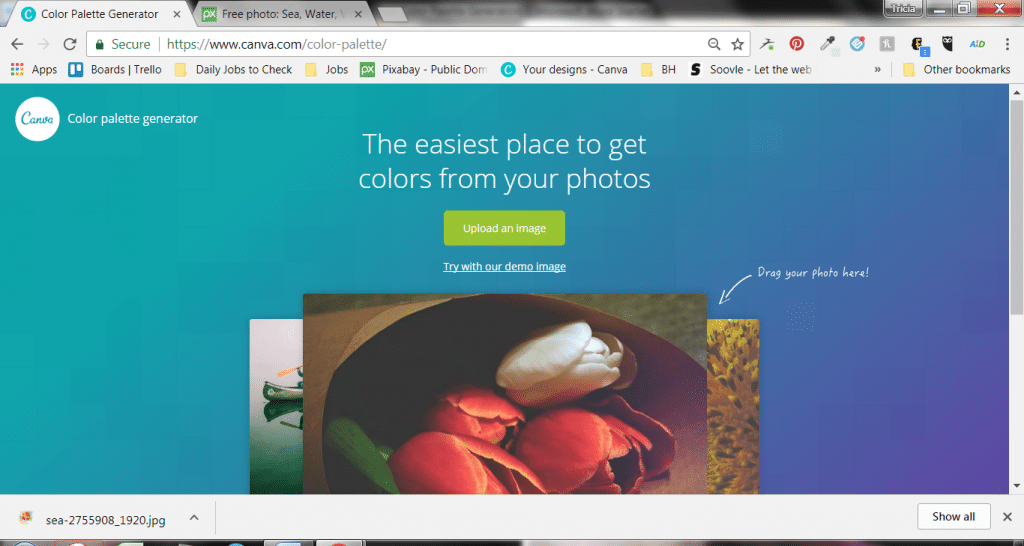 12 Free Color Palette Generators For Inspiring Your Inner Artist