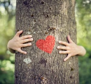 Person hugging a tree with a painted heart on it